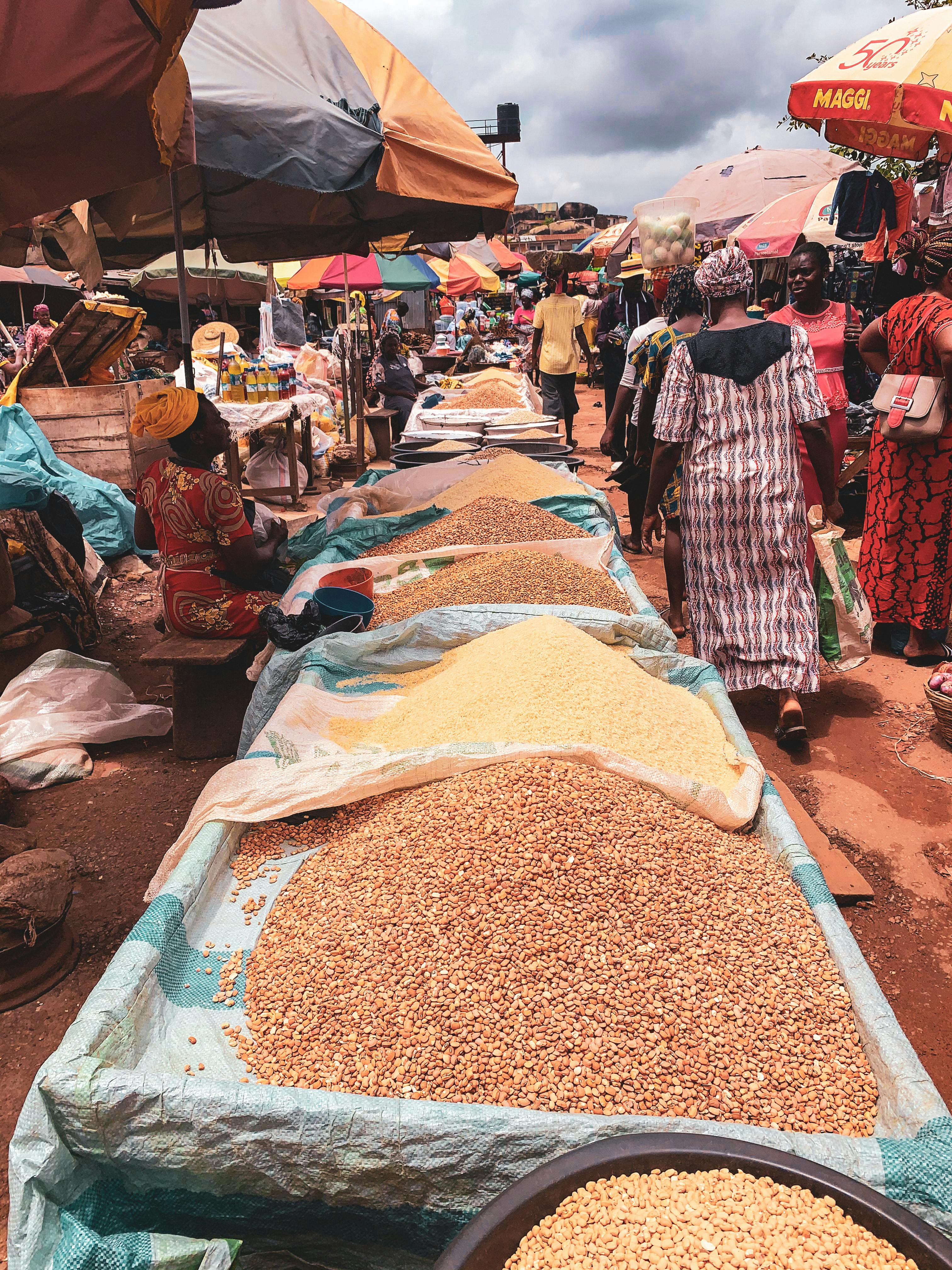 African grain market partnership - Utopia Agro Industries supply network