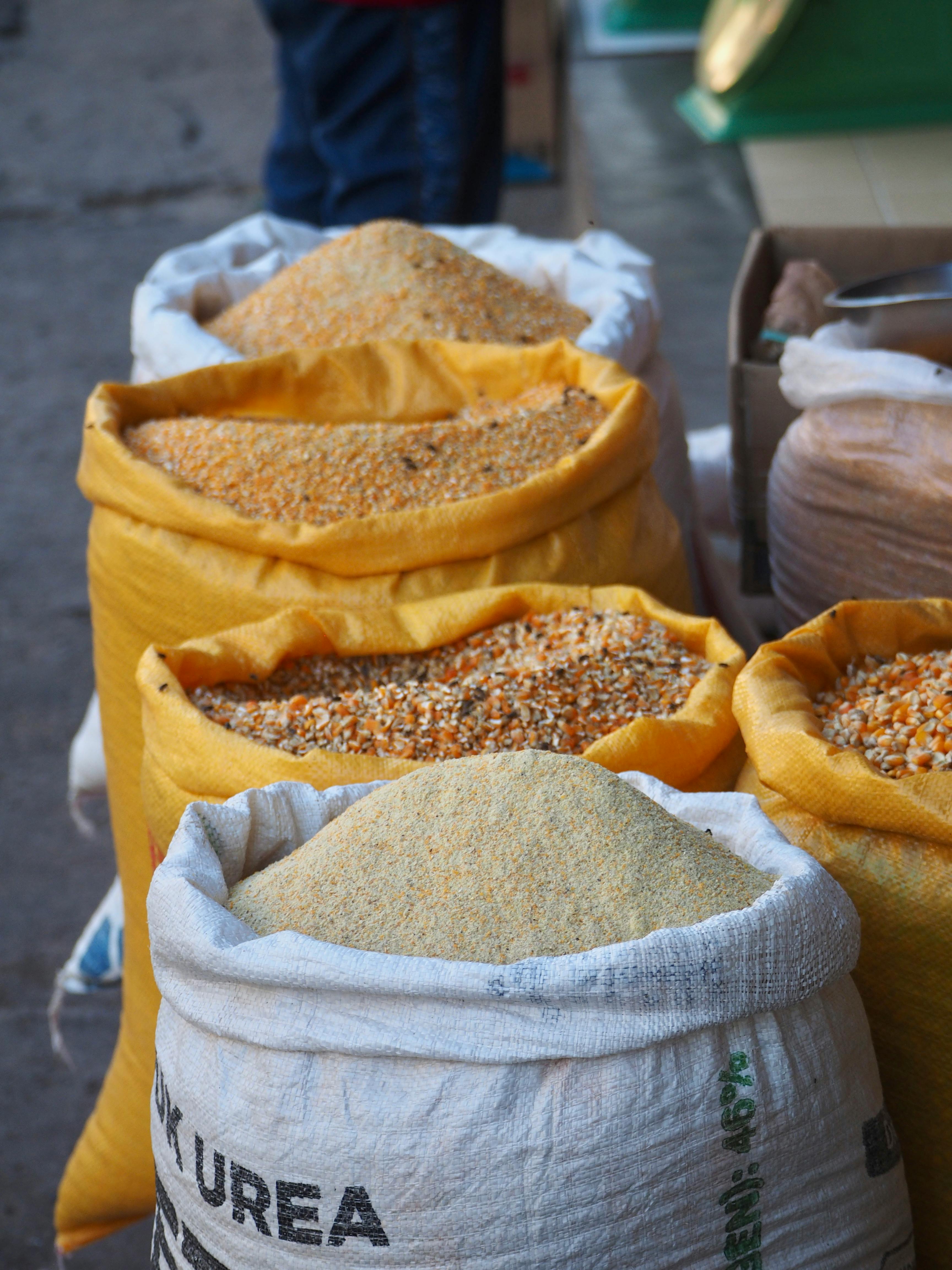 Grains and cereals wholesale supply - Utopia Agro Industries Uganda